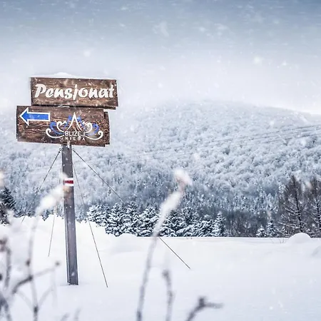 Blizej Nieba Skrzydlna