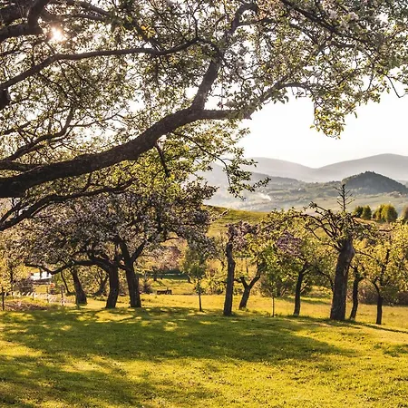 ベッド・アンド・ブレックファスト Blizej Nieba