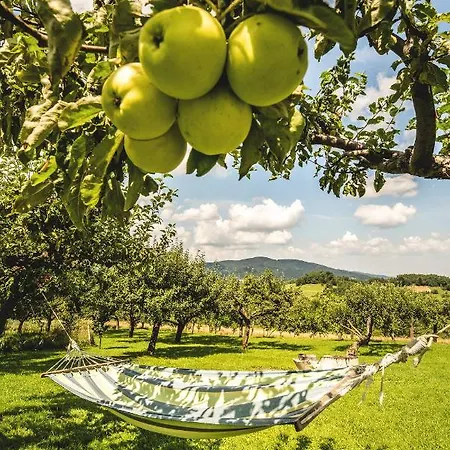 Blizej Nieba ベッド・アンド・ブレックファスト Skrzydlna