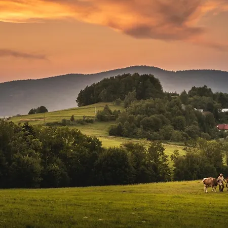 Blizej Nieba ベッド・アンド・ブレックファスト 3*