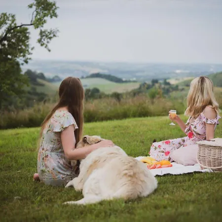 Blizej Nieba Skrzydlna
