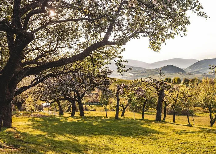 Couette-café Blizej Nieba
