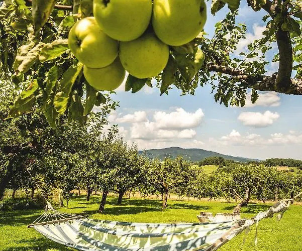 Blizej Nieba Couette-café Skrzydlna