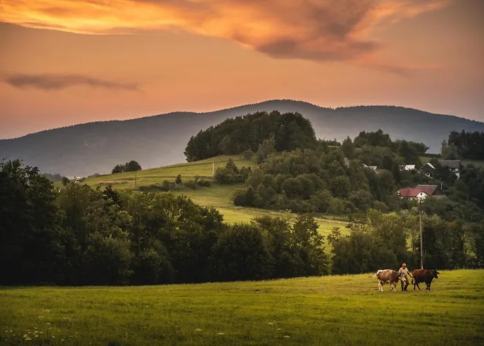 Blizej Nieba Couette-café 3*